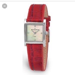 Skagen Denmark Watch